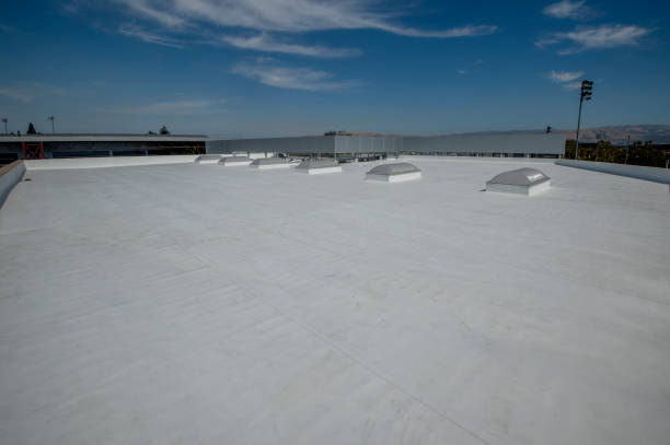 Best Rubber Roofing (EPDM, TPO)  in Whitesboro, AL