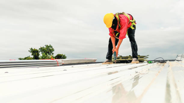Best Gutter Installation and Repair  in Whitesboro, AL