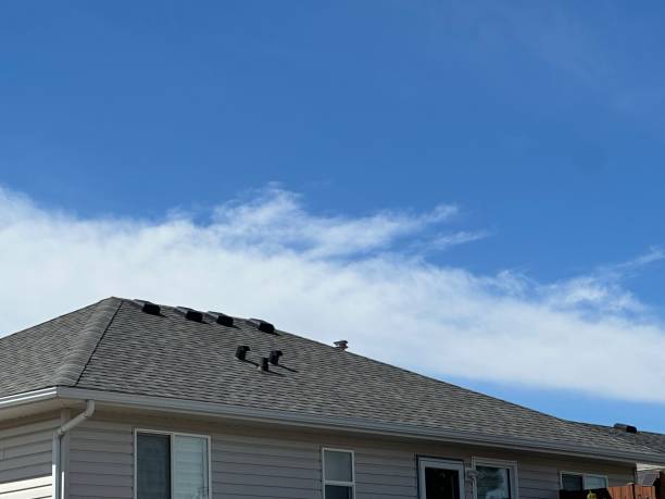 Best Cold Roofs  in Whitesboro, AL